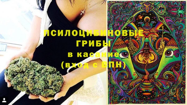 соль ск Ветлуга